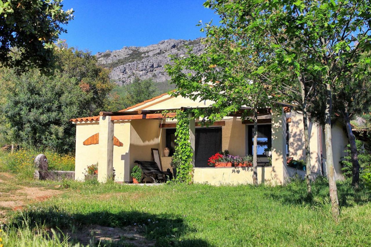 Ferienwohnung Cielo Abierto Berzocana Exterior foto